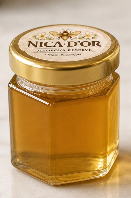 Nica D'or Melipona Reserve Honey - Rare Stingless Bee Honey 1.5 oz